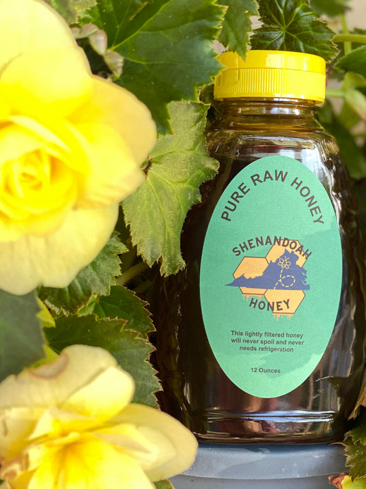 Pure Raw Honey - 12 oz